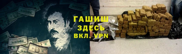 хмурый Алексин