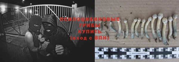 прущая мука Абдулино
