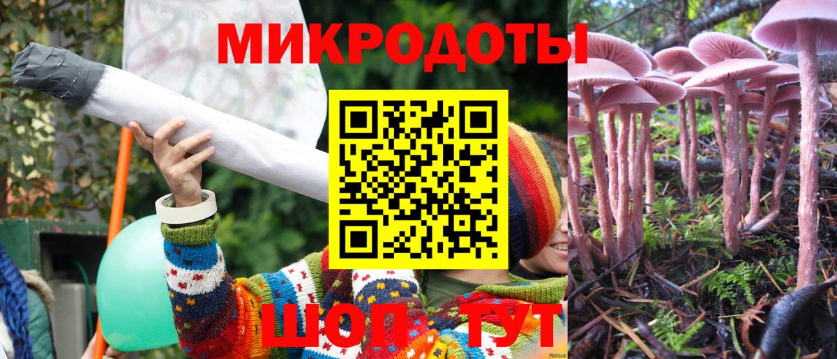 Дивногорск  Псилоцибиновые грибы ЛСД  Вход с VPN 
